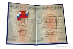 диплом нпо 2007-2010