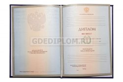 диплом РЭУ им. Плеханова 2004-2009