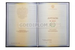 диплом РЭУ им. Плеханова 2010-2011