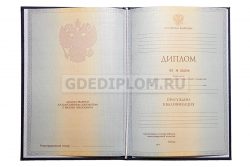 диплом РЭУ им. Плеханова 2012-2013